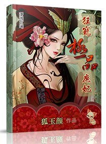 狂宠极品庶妃