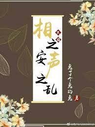 民国相之安,声之乱