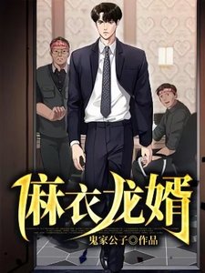 麻衣龙婿